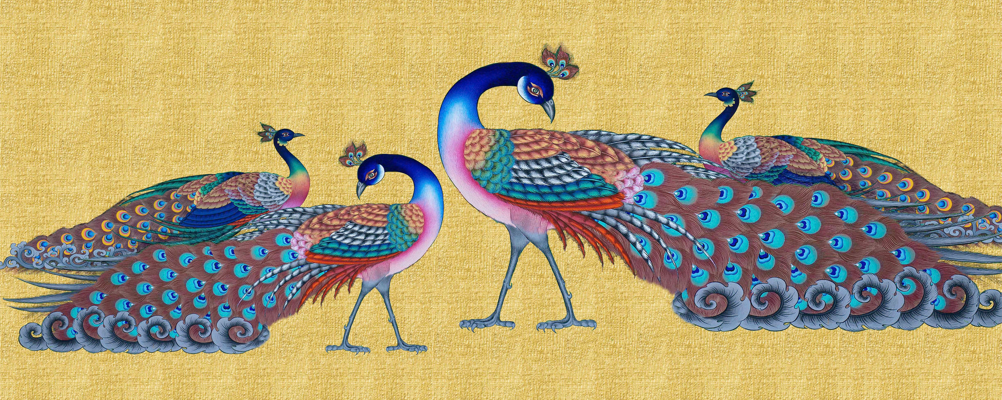 Celestial Peacock Family A